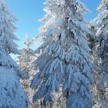 Appartement Duennebacke Schmallenberg