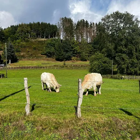 Duennebacke Schmallenberg