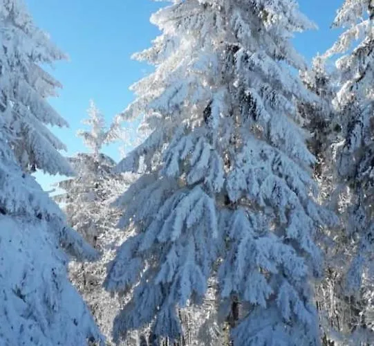 Apartament Duennebacke Schmallenberg