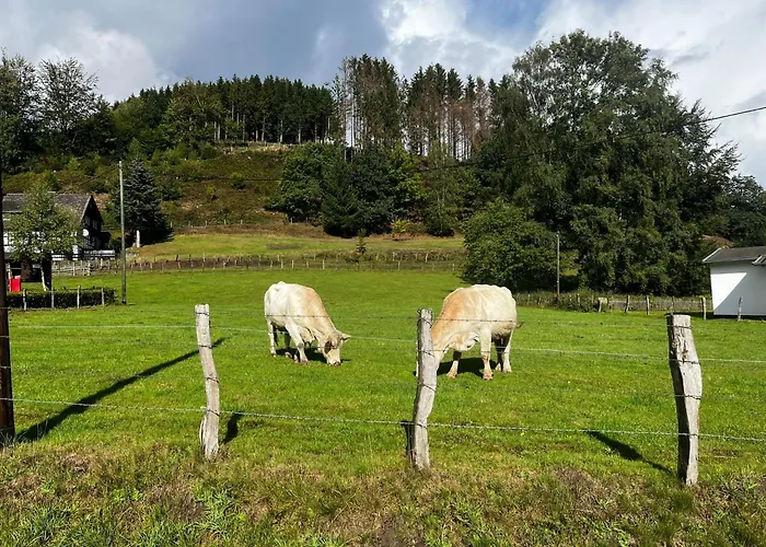Duennebacke Schmallenberg