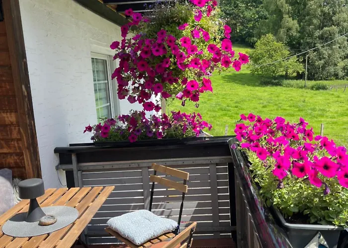 Apartament Duennebacke Schmallenberg